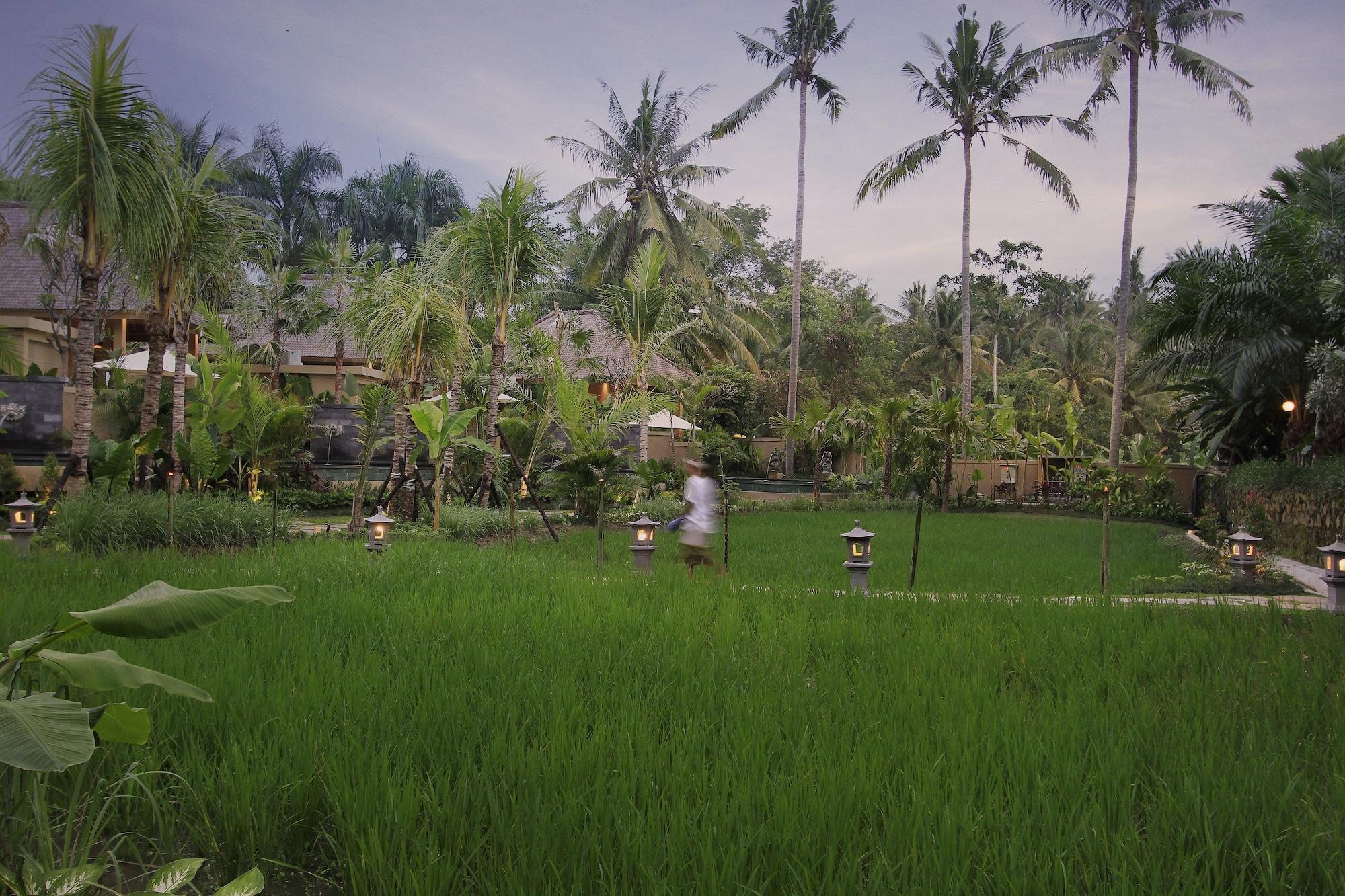 Resort The Sankara By Pramana 4*